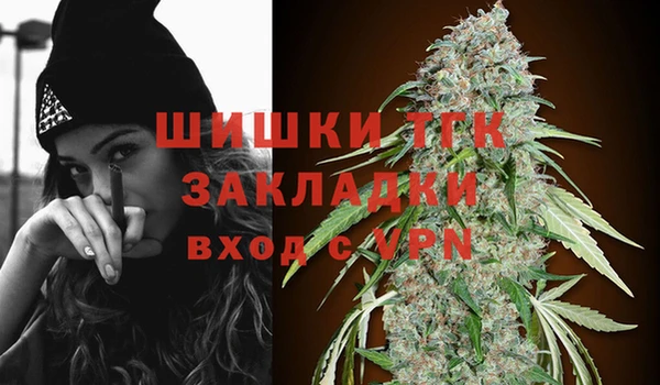 гашик Арсеньев