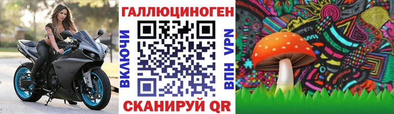 Галлюциногенные грибы прущие грибы  Углегорск 
